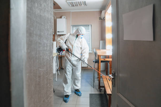 Best Commercial Mold Inspection  in El Valle De Arroyo Seco, NM
