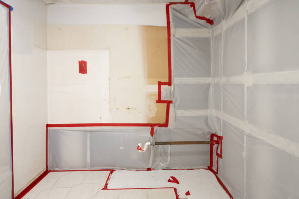 Best Biohazard Mold Removal  in El Valle De Arroyo Seco, NM