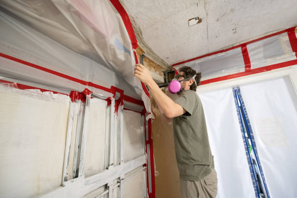 Best Mold Odor Removal Services  in El Valle De Arroyo Seco, NM