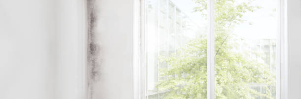 Best Indoor Air Quality Assessment  in El Valle De Arroyo Seco, NM