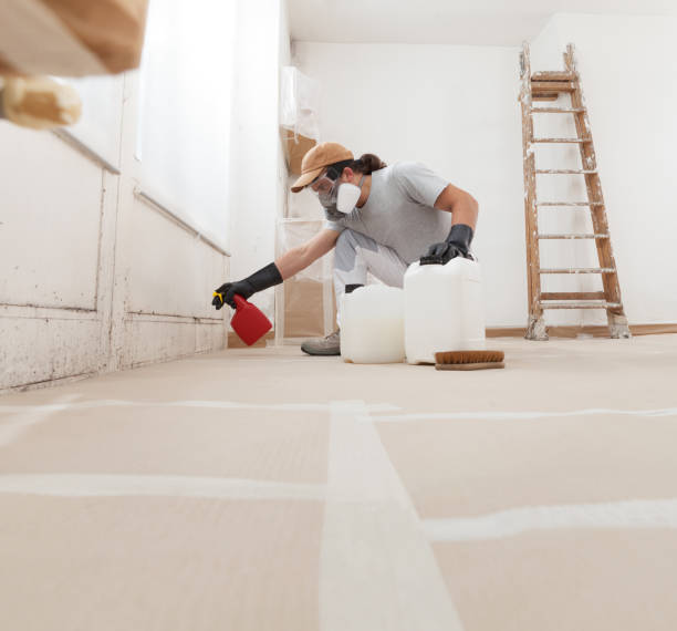 Best Water Damage & Mold Remediation  in El Valle De Arroyo Seco, NM