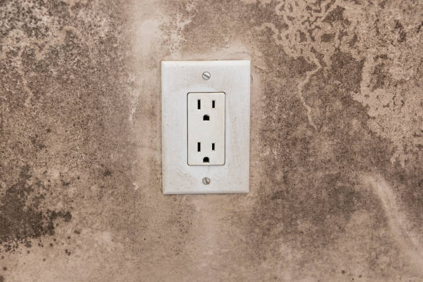 Best Asbestos and Lead Testing During Mold Inspection  in El Valle De Arroyo Seco, NM