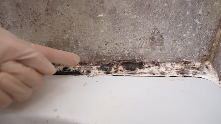 Best HVAC Mold Inspection and Cleaning  in El Valle De Arroyo Seco, NM