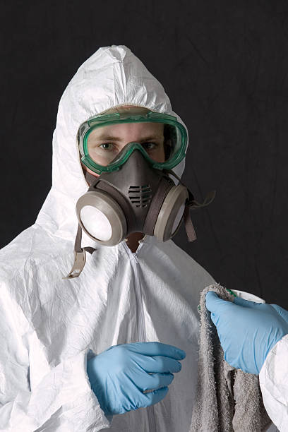 Best Mold Remediation for Healthcare Facilities  in El Valle De Arroyo Seco, NM